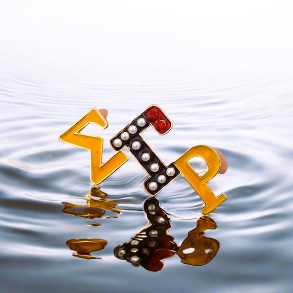 Sigma Gamma‎ Rho Brooch - Picture 3 of 4